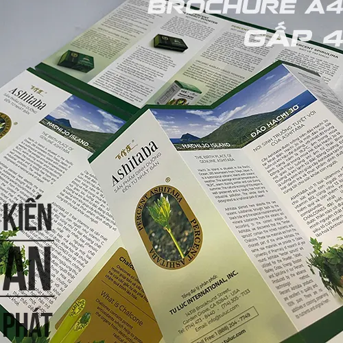 Bảng giá in brochure A4 gấp 4