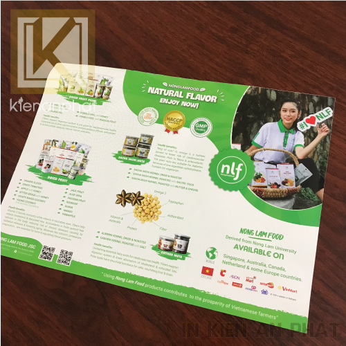 công ty in tờ rơi kiến an phát