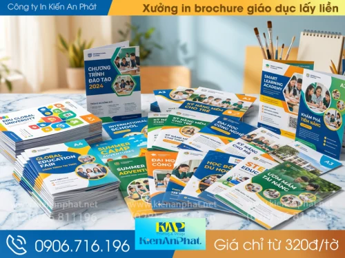 Xưởng in brochure giáo dục lấy liền giá chỉ từ 320đ/tờ
