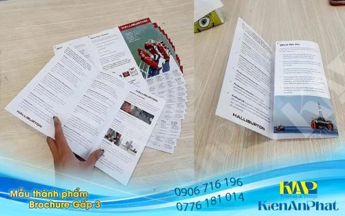 Sản phảm in Brochure gấp 2 và in Brochure gấp 3 cập nhật mới nhật tháng 05-2026