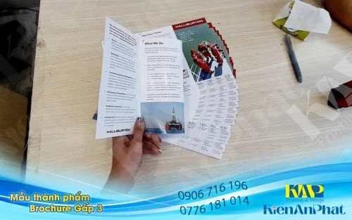 Sản phảm in Brochure gấp 2 và in Brochure gấp 3 cập nhật mới nhật tháng 05-2026