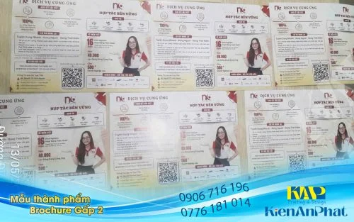 Sản phảm in Brochure gấp 2 và in Brochure gấp 3 cập nhật mới nhật tháng 05-2026